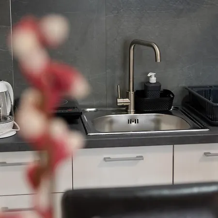 Διαμέρισμα Lemona Vrnjacka Banja